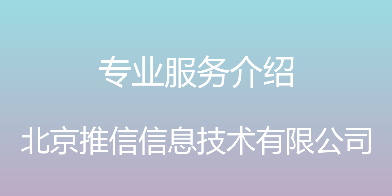 专业服务介绍 - 北京推信信息技术有限公司